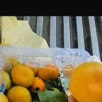 Мандарин сорт медовка