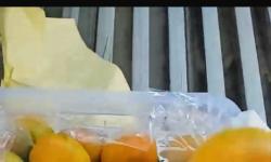 Мандарин сорт медовка