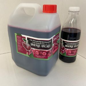 Концентрированный сок Виноград красный канистра 5 кг и бутыль 1 кг