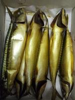 Скумбрия холодного копчения 1 кг