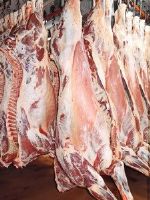 Мясо говядины от молодняка КРС с вырезкой (бычки) (МБ) с вырезкой, замороженное