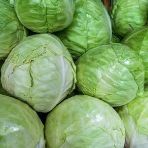 Капуста и овощи из Ирана