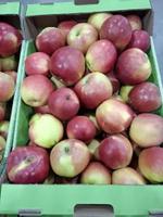 Яблоки Линол оптом.