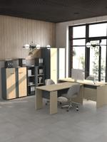 Мебель для офиса коллекция "Формат" в ассортименте 468.25.00.014.04.2014