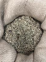 Зеленый кофе арабика, робуста