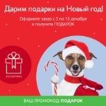 Новогодний подарок за каждый заказ!