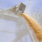 Цены на пшеницу с доставкой до Армении