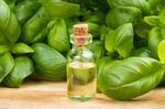 ЭФИРНОЕ МАСЛО БАЗИЛИК (Ocimum Basilicum Oil)