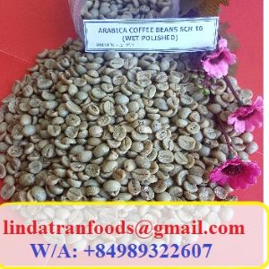 Vietnamese Robusta Arabica coffee
Email : lindatranfoods(at)gmail(dot)com
Skype : giahan3121
Cell phone (Whatsapp, Viber, Wechat): Mrs. Linda