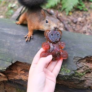 Мармеладный медведь с сосновой шишкой