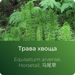 Хвоща экстракт сухой https://www.altai-extracts.ru/trava-hvosha
