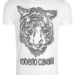 Лот мужской одежды Roberto Cavalli