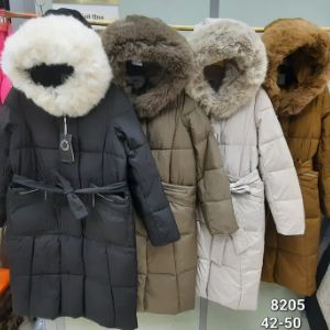 Одежда верхняя швейная женская из шерстяных тканей, из тканей из химических волокон и нитей, в том числе утепленные натуральным пухом, химическими материалами (холлофайбер, синтепон): куртки, пуховики, пальто