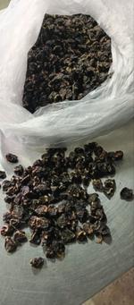 Сердце кролика