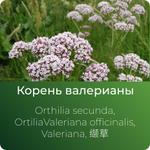 Валерианы экстракт сухой https://www.altai-extracts.ru/koren-valeriany