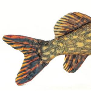 Щука   лидер продаж