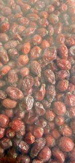 Шиповник сушеный