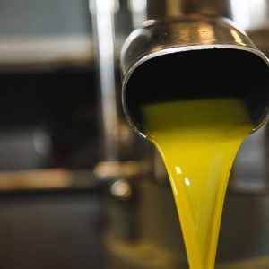 турецкое оливковое масло
