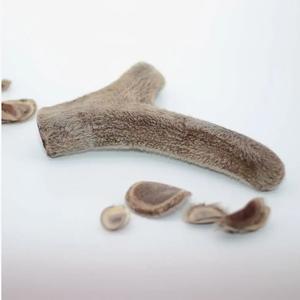 Рога пятнистого оленя (Cervus nippon), известные как панты, являются ценным продуктом, используемым в традиционной восточной медицине, особенно в Китае и Корее. Эти молодые рога обладают уникальными свойствами и высоко ценятся за их целебные качества.

▌ Особенности пантов

- Молодость: Панты собирают, пока они еще мягкие и покрыты кожей. После сбора они высушиваются и обрабатываются.
- Биологически активные вещества: Содержат большое количество аминокислот, минералов, витаминов и других полезных компонентов.
- Лечебные свойства: Используются для укрепления иммунитета, улучшения кровообращения, повышения общей выносливости и поддержки здоровья суставов.