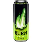 Энергетический напиток BURN 0.449 Ж/Б Яблоко киви B04ЯК