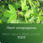 Смородины экстракт сухой https://www.altai-extracts.ru/list-smorodiny