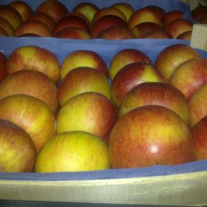 яблоко Сербия 1 класс урожай 2016
GREEN HILLS MARKET DOO