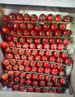 Томат черри тепличный