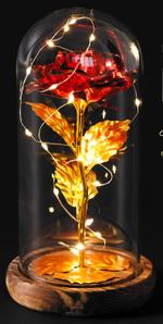 Роза в колбе Одинарная красная 111124 111124