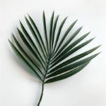 Искусственный лист пальмы Ливистона Nova Nature 30495-1