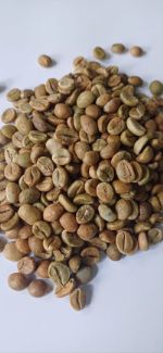 ARABICA GREEN COFFEE BEANS