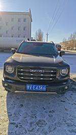 Автомобили Haval Dargo
