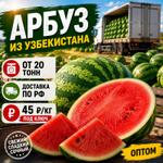 Арбуз оптом от 20 тонн в любой регон РФ/СНГ из Узбекистана
