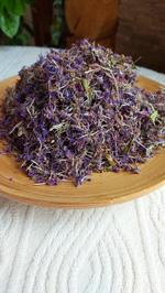 Цветы иван чая