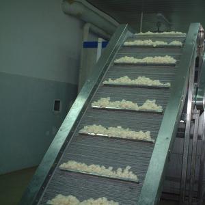 Inside factory