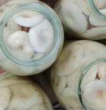 Груздь боровой солено-отварной