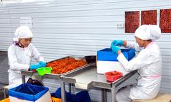 Продаем сухофрукты и орехи оптом