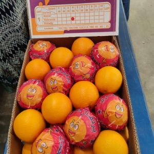 Апельсины (Египет), 60 руб/кг . Коробка 15 кг, калибр 64-72-80-88. Цена за кг от 60 руб с НДС в зависимости от калибра и объема.  Прямая поставка 1-2 раза в неделю, продажа со склада на Фуд-сити.