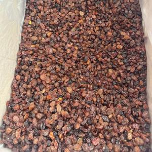 Изюм Султана