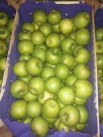 Albion SPB — оптовая продажа яблок из Сербии