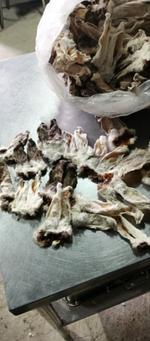 Уши кролика с мехом