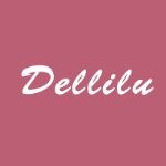 Dellilu — женские сумки оптом