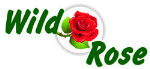 Wild Rose — свежие розы оптом и в розницу