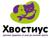 корма для собак