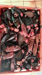 Субпродукты уши бараньи и говяжьи