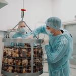 Наши вкуснейшие, боровые белые грибы, в пряном маринаде