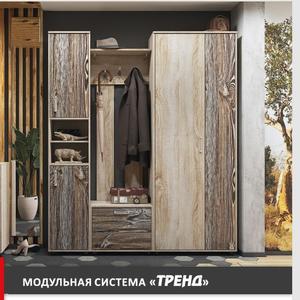 Тред- модульная гостинная