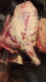 Говядина /полутуши/ четверти/туши