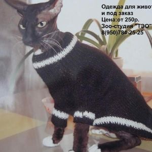 Вязанная одежда для животных. 