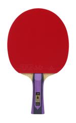 Ракетка для настольного тенниса LOKI DIGNITY E6, ALL+ RKT-D6-FL