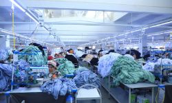 Швейное производство полного цикла, трикотаж и текстиль